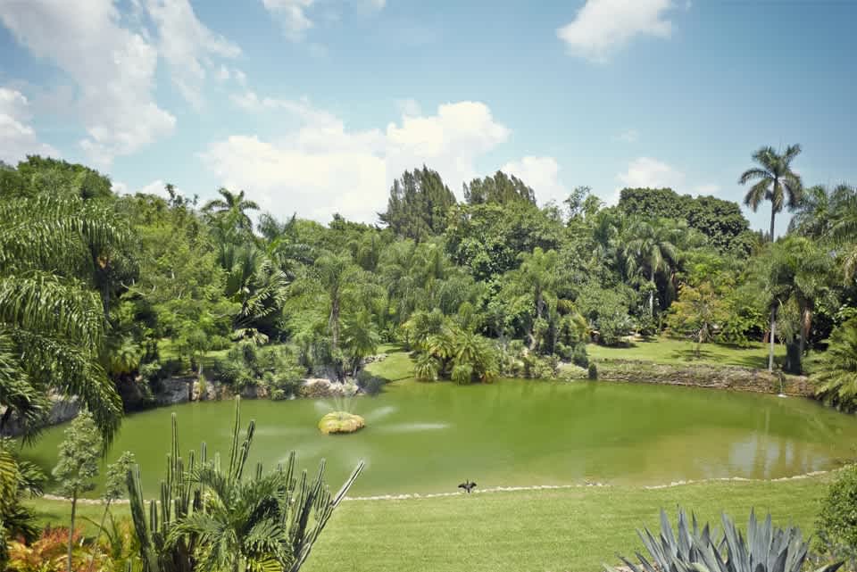 Pinecrest Real Estate Houses & Homes for Sale