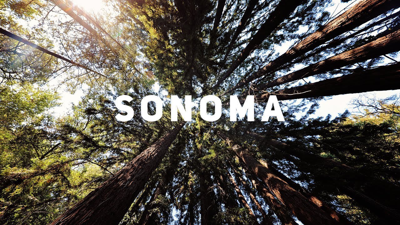 homesinsonomacounty.com