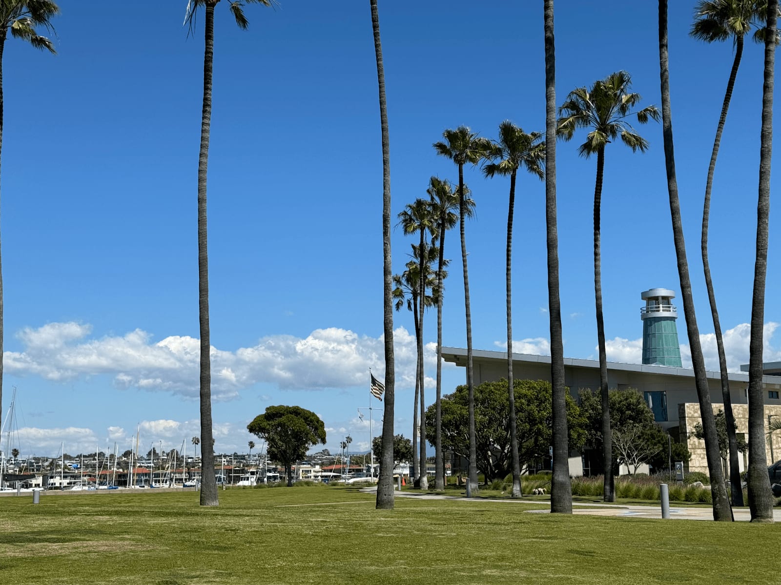Palm trees and a grassy area near the Newport Beach Civic Center, with marina in the background.