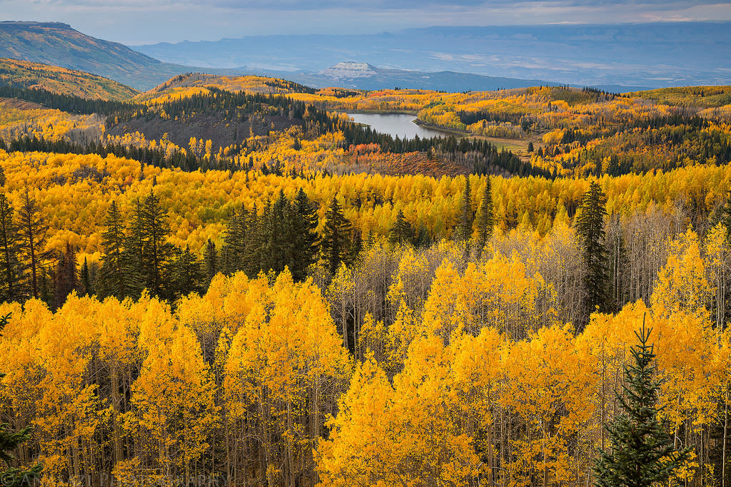 Fall in Colorado 2022 LeafPeeping Guide The Schlichter Team