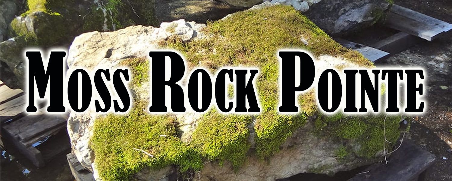 Neighborhoods at Smith Lake The King Team