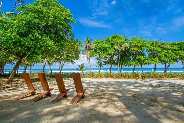 Oceanfront Lot in Santa Teresa