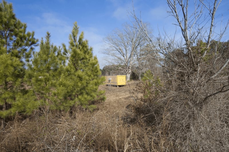 Duck Lease NC Duck Hunting Leases Blog Legacy Farms and Ranches