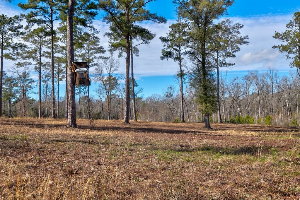 Boykin Farm