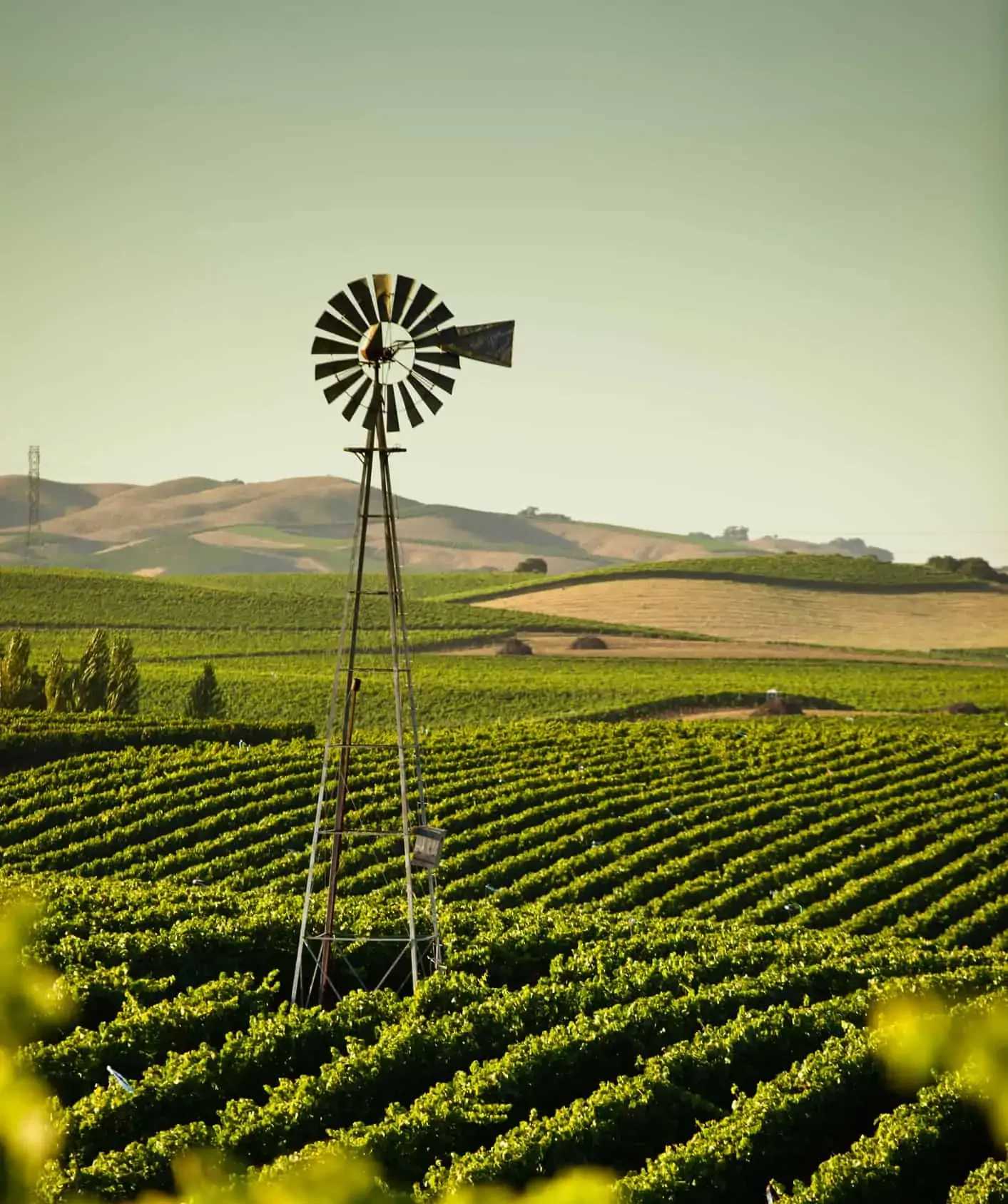 Agricultural Properties Premier California Properties