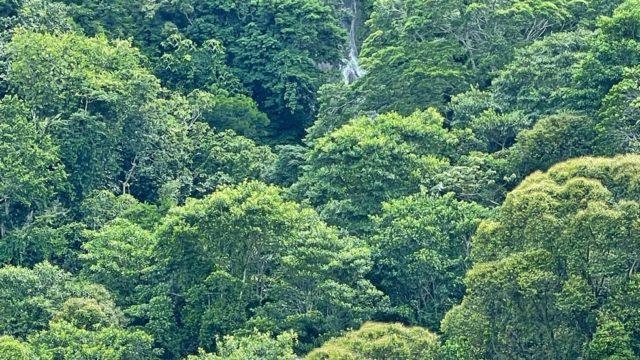 Riverfront Ranch Above Uvita With Waterfalls, and Ocean Views