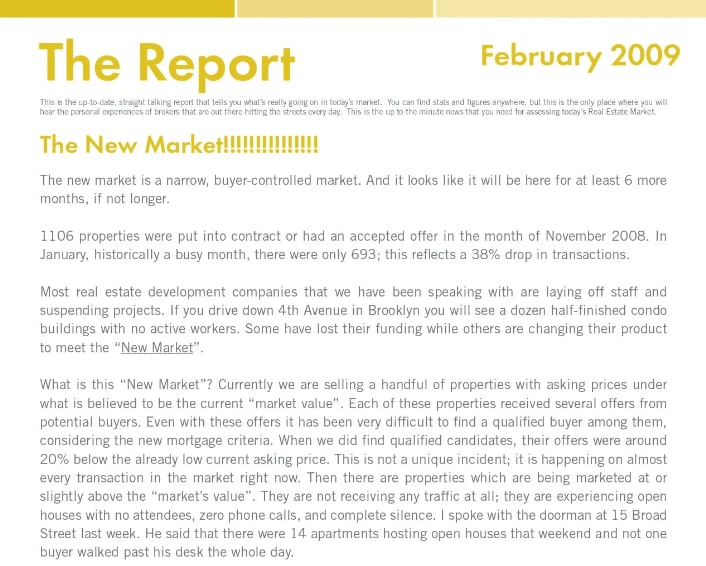 The Meier Report - February 2009