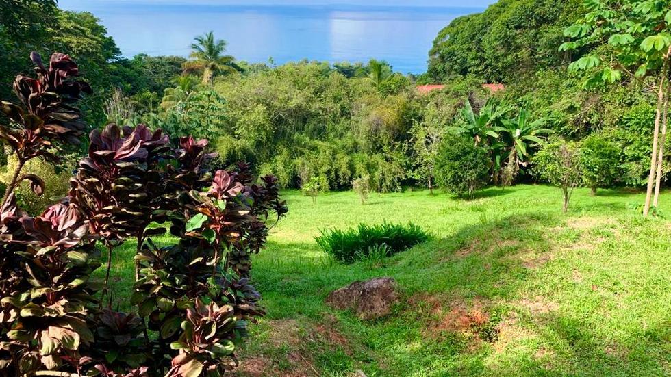 Ocean View Property with a Prime Location and Legal Water in Escaleras Dominical