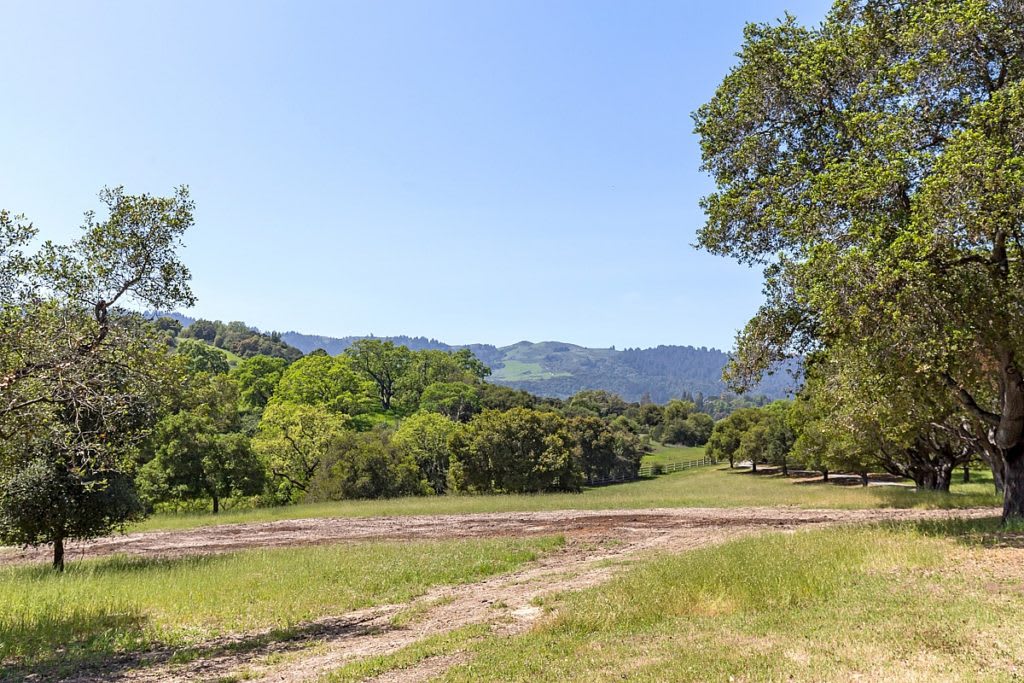 12 Arastradero Rd