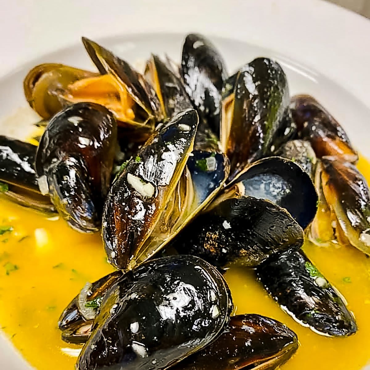 LOCAL LOVE - Winter 2021, Part 4