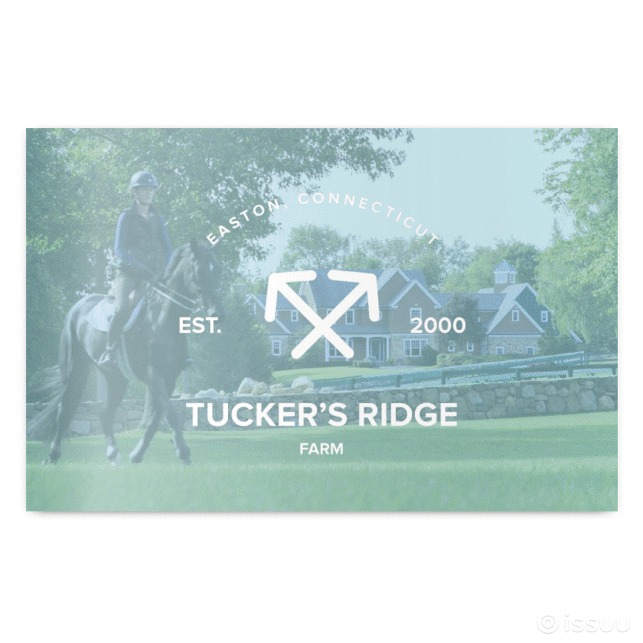 Spaces Real Estate Marketing Portfolio