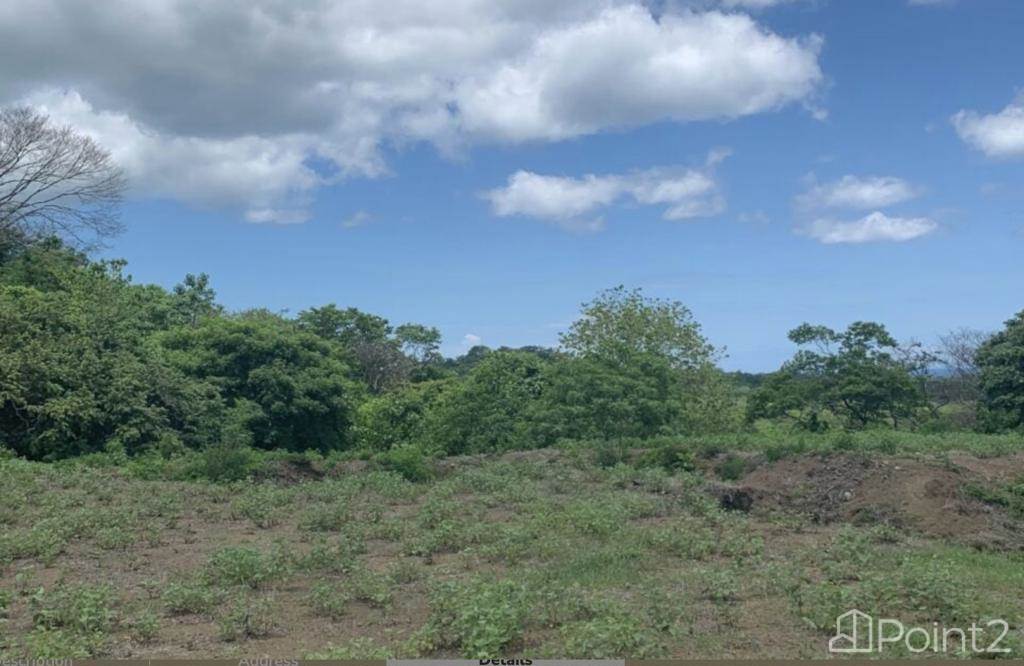 Ocean View Lot in Playa Avellanas