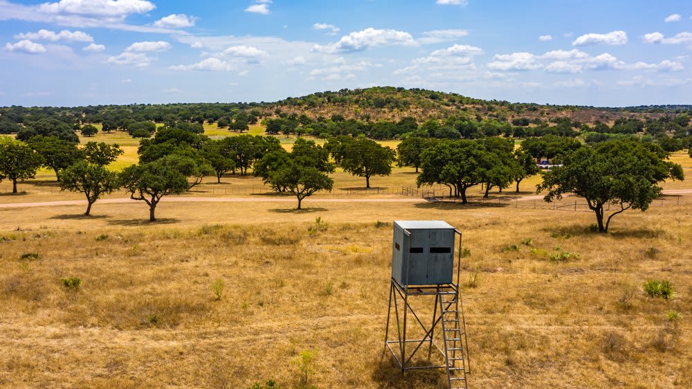 Dog Tick Ranch