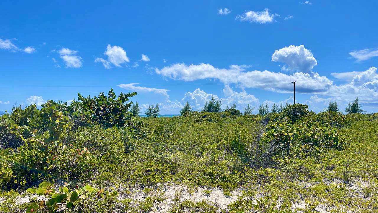 150 Anegada 0.517 Acres Luxury Properties BVI Tortola Real Estate Agents