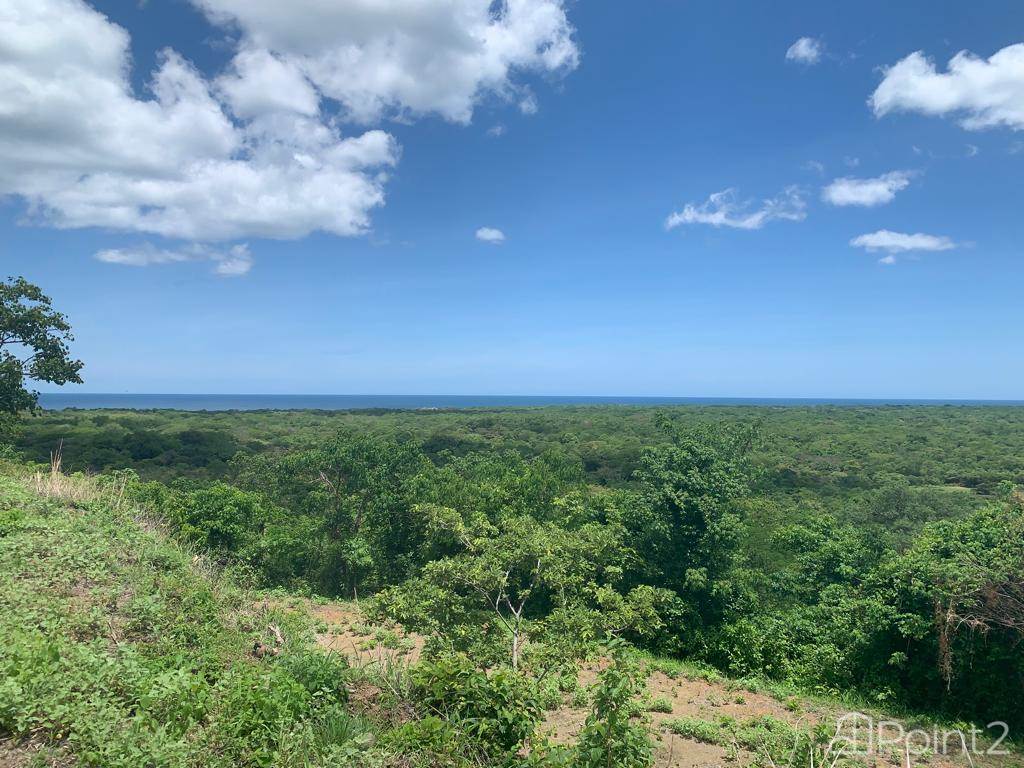 Ocean View Lot in Playa Avellanas