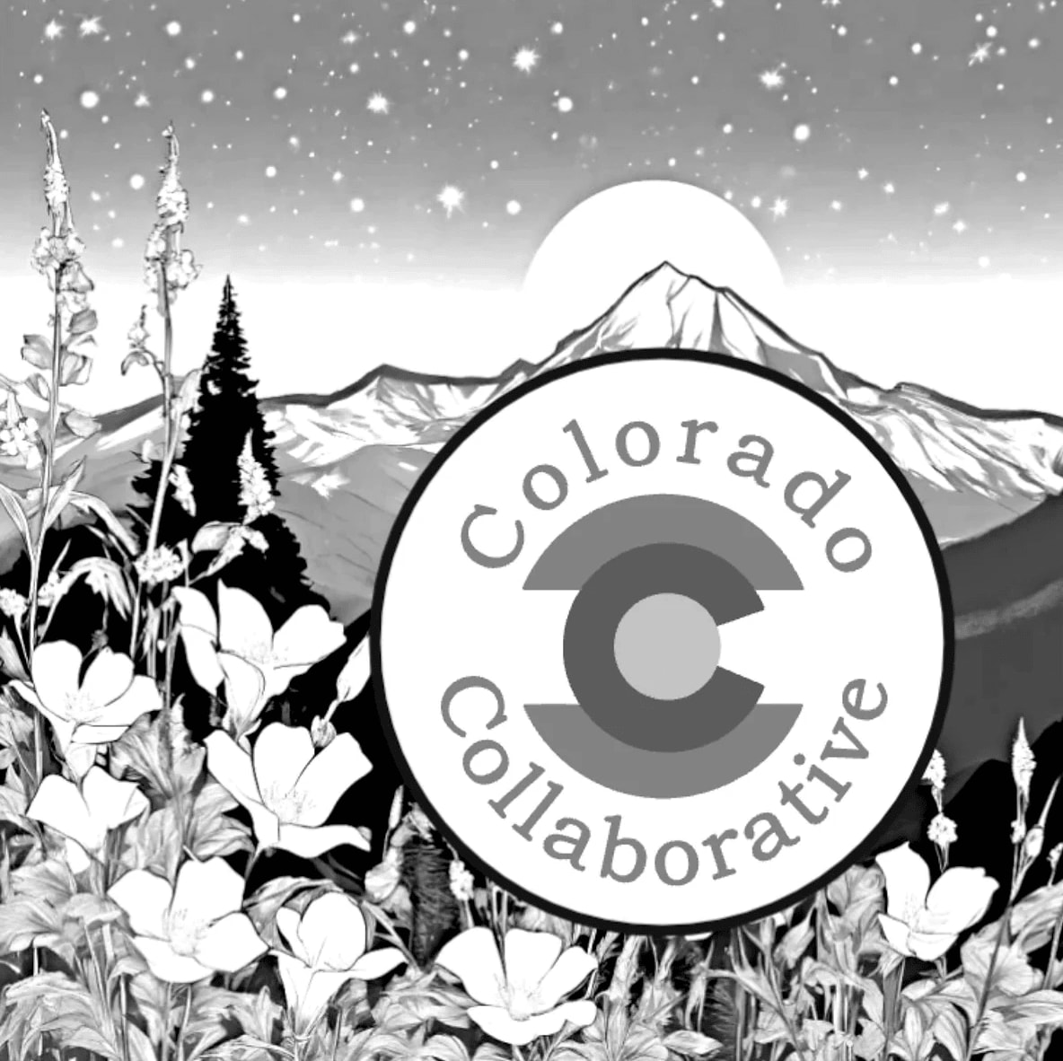 Colorado Collaborative