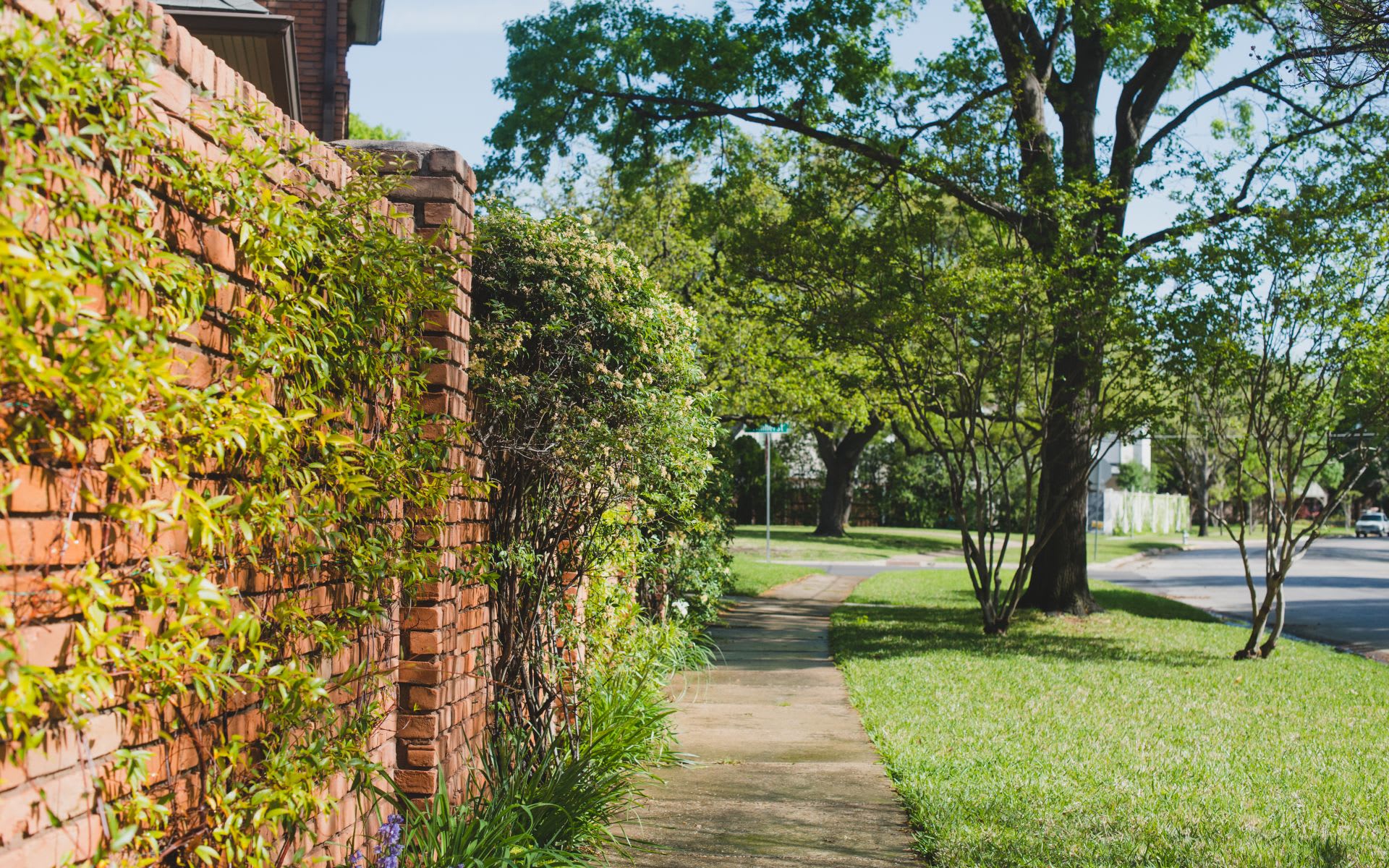 University Park Street