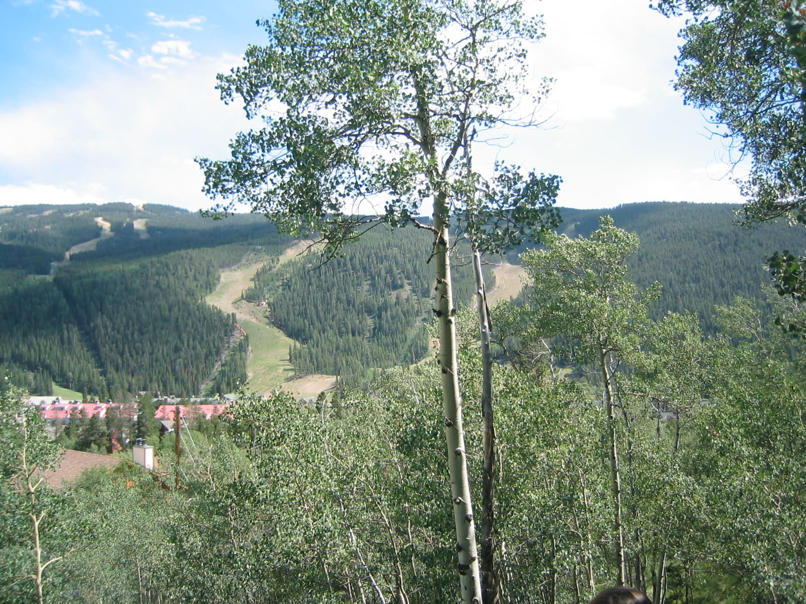 Keystone, CO Real Estate & Homes for Sale Jason Smith