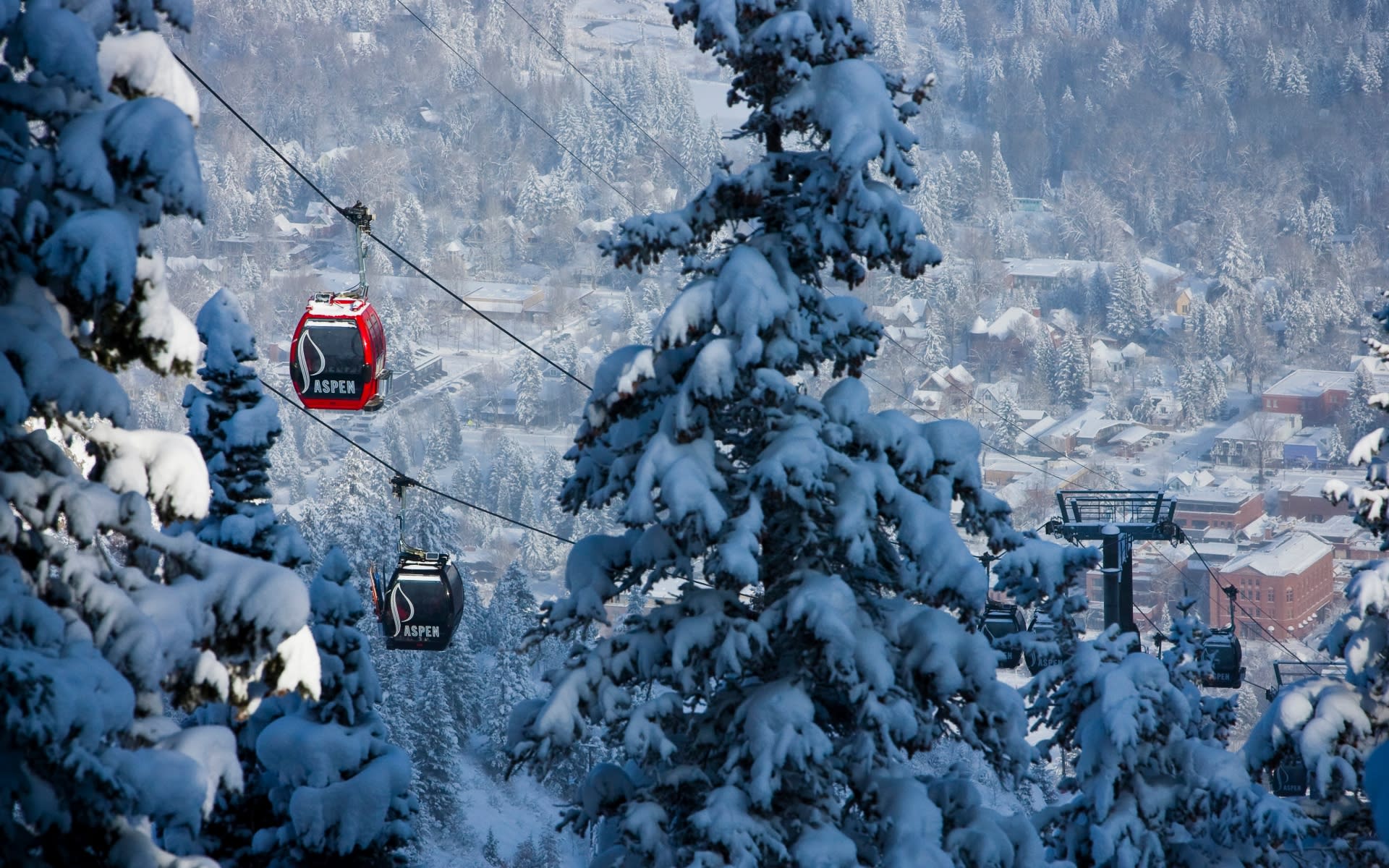 Aspen Real Estate Agent Steven Shane Luxury Realtor & Broker