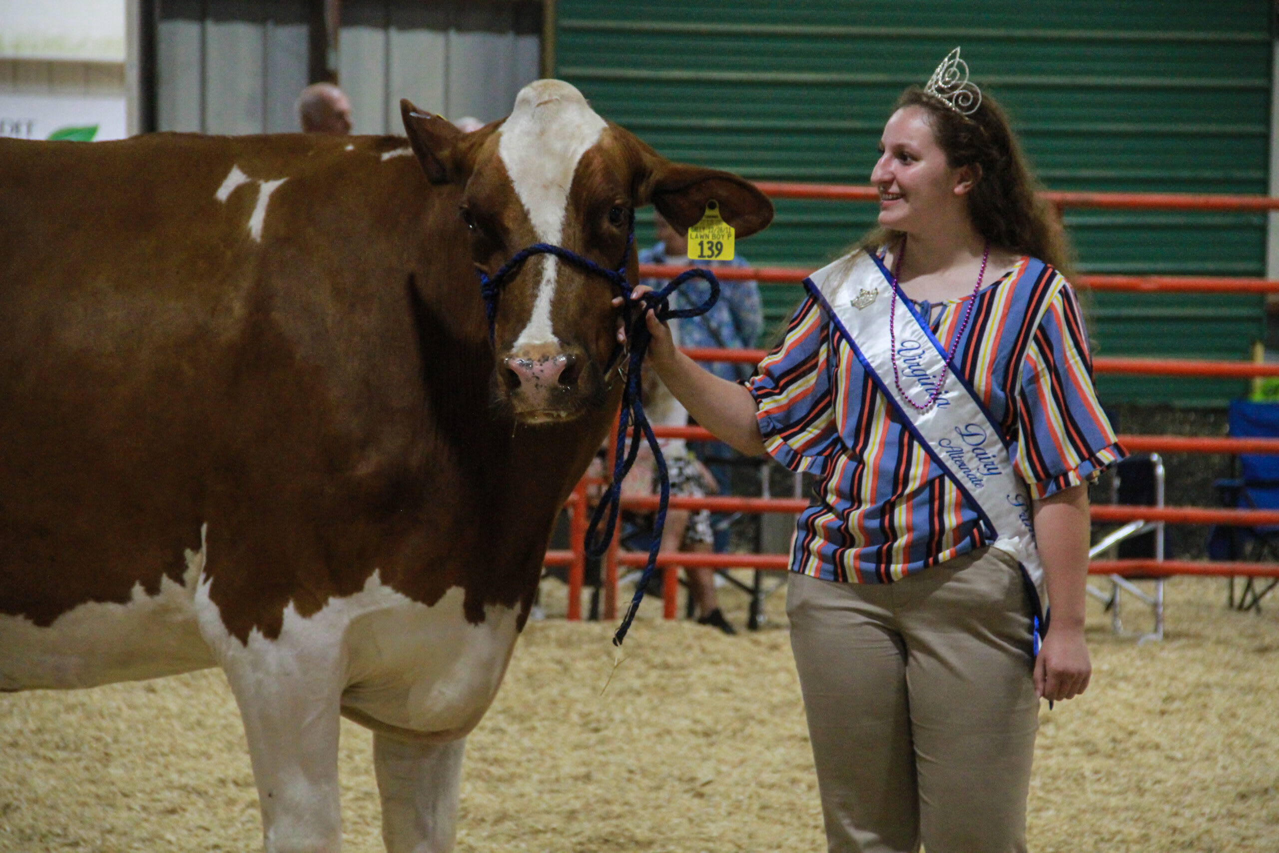 livestock show
