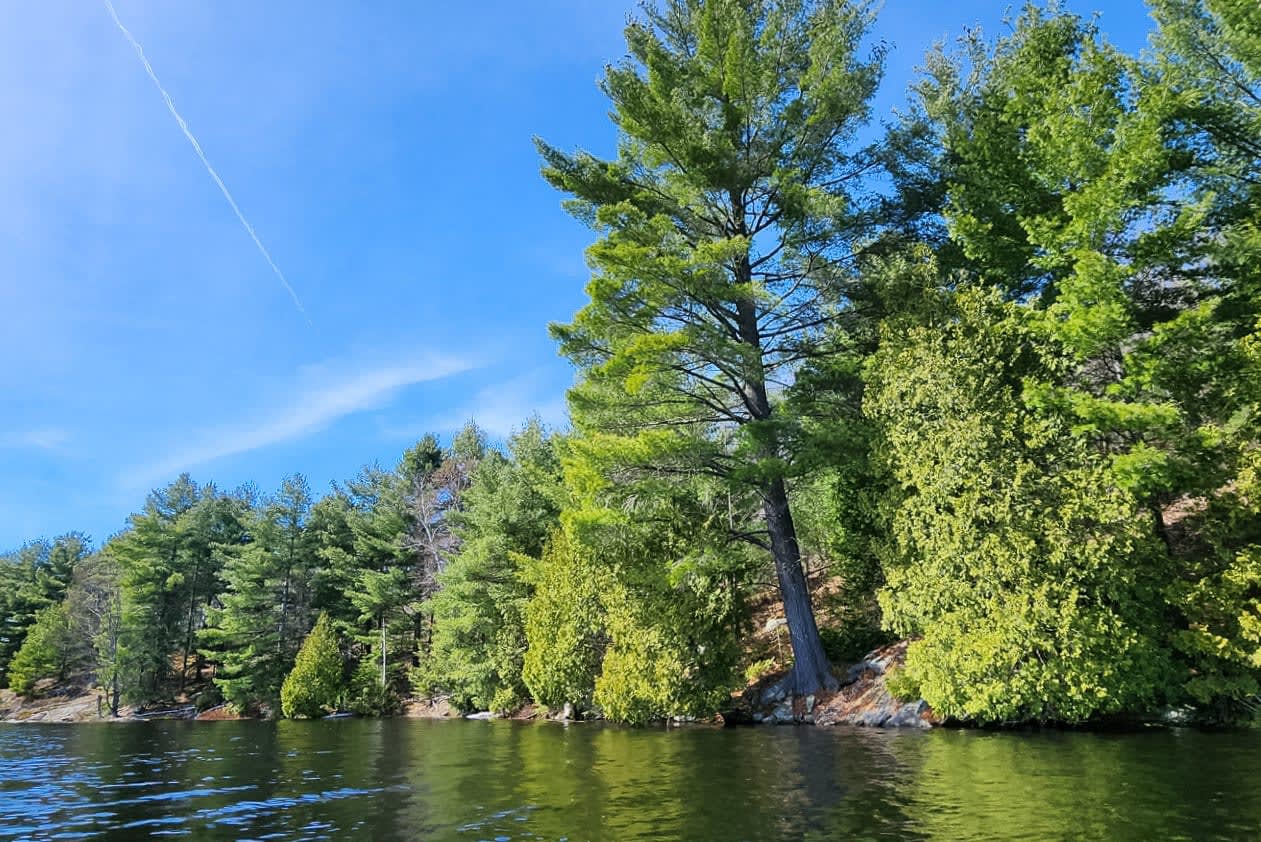 Fern Glen Road Round Lake 