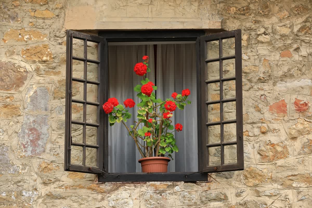 Authentic Old Houses