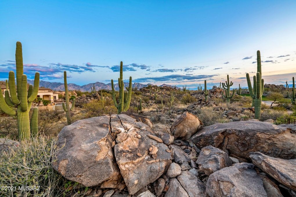 1206 W Tortolita Mountain Circle Oro Valley, AZ 85755 Gray St