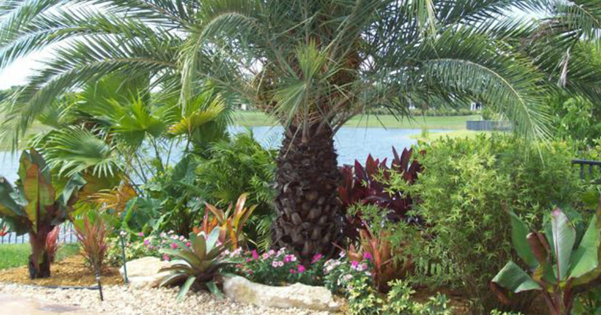 Gardening Tips for South Florida