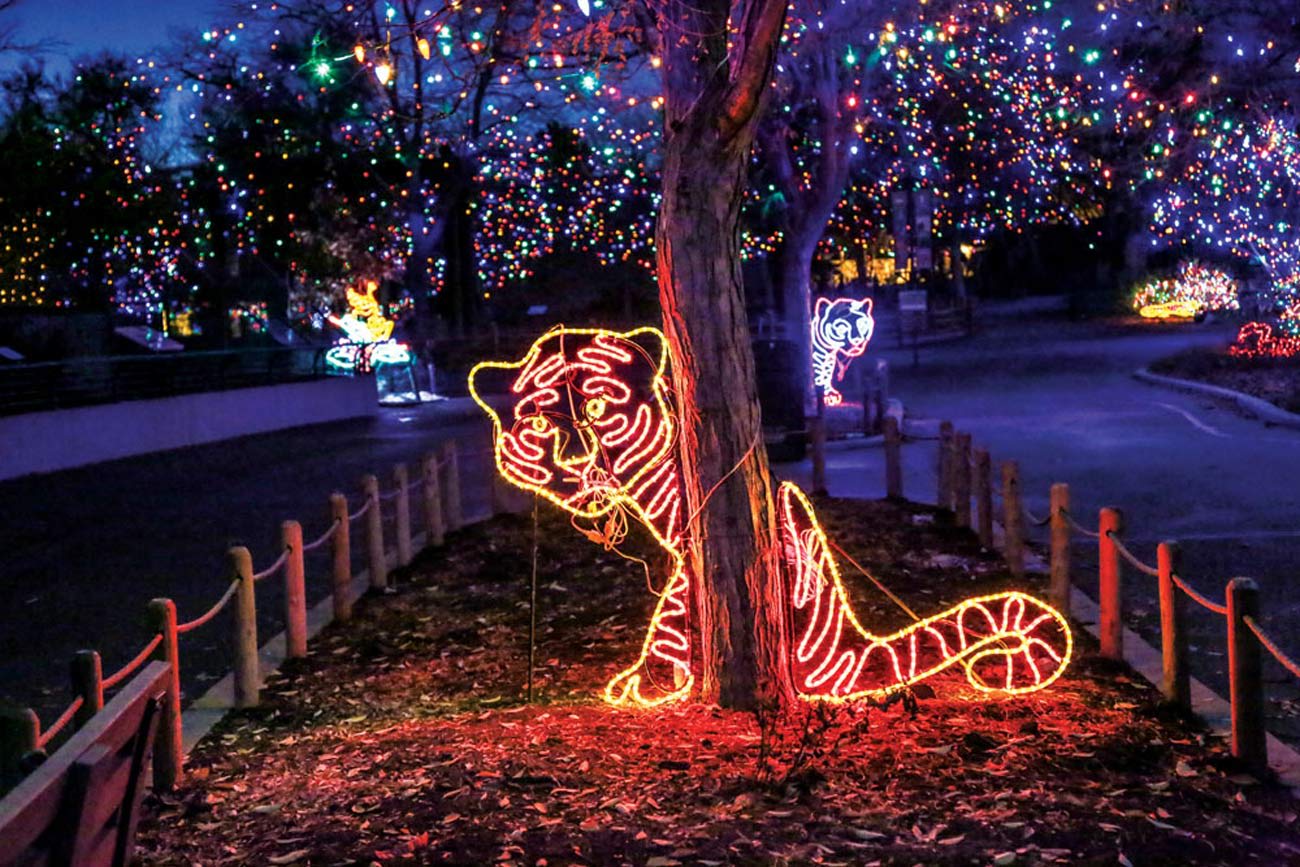 Denver Holiday Family Events - December 2022 - Zoo Lights