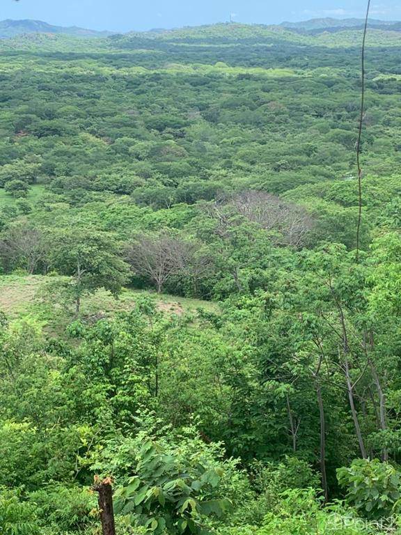 Ocean View Lot in Playa Avellanas