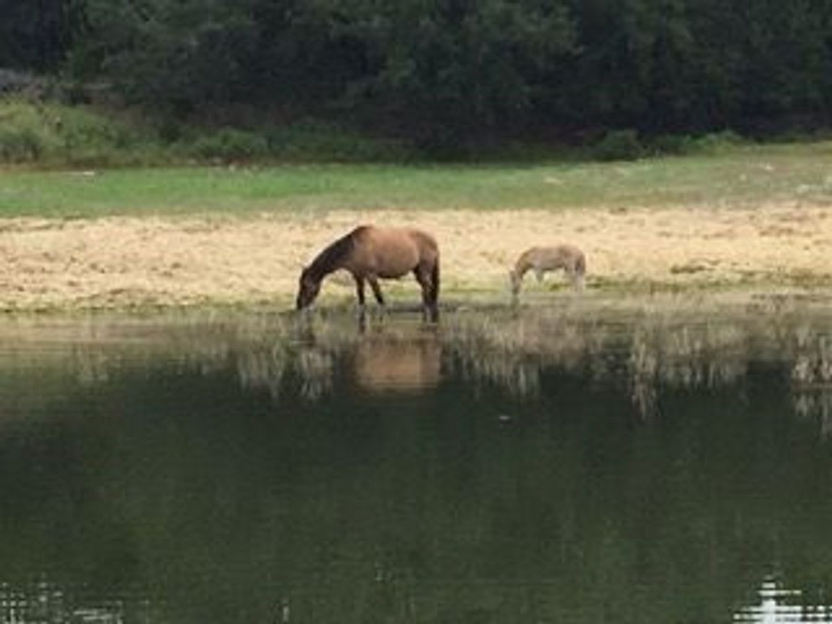 Gentleman's Ranch in Dripping Springs