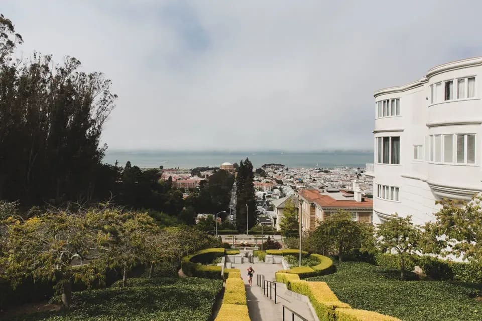 Local Events and Festivals of Pacific Heights San Francisco