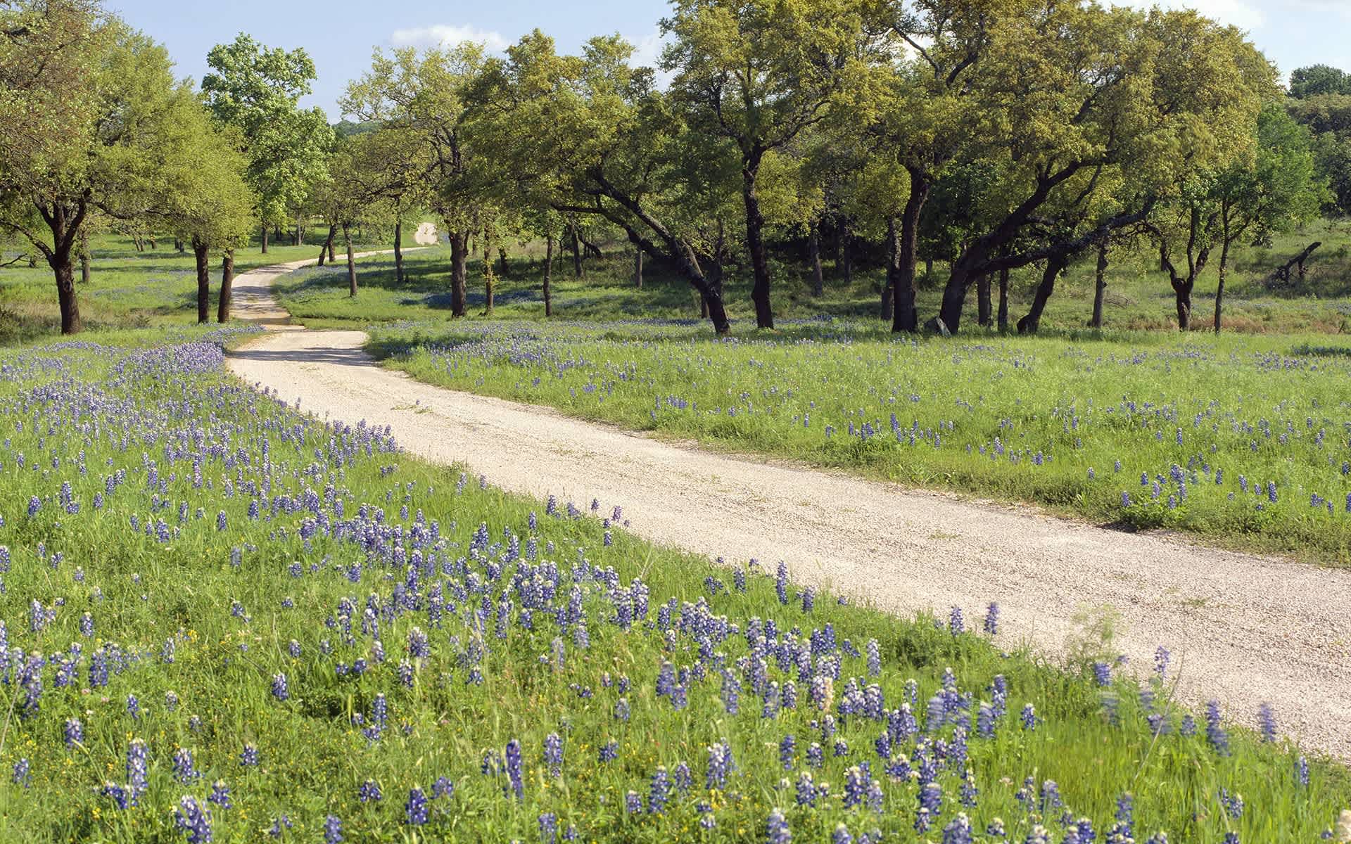 Past Transactions Texas Land & Ranch Real Estate Expert Gaines Slade