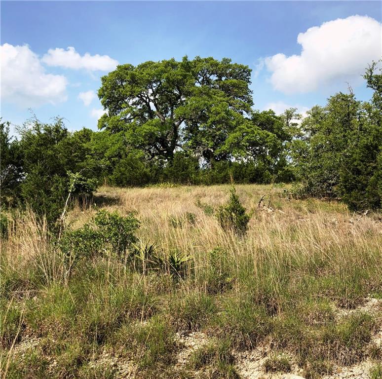 Lot #1 Mt Sharp Rd/Mt Gainor Rd