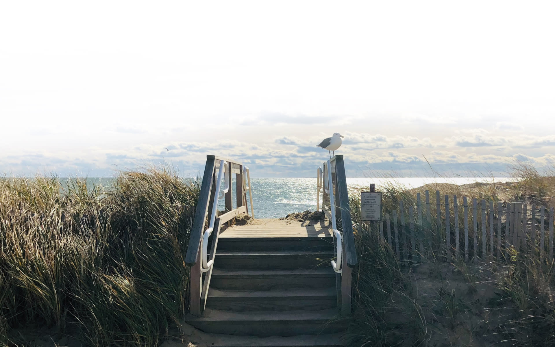 Renaissance Real Estate