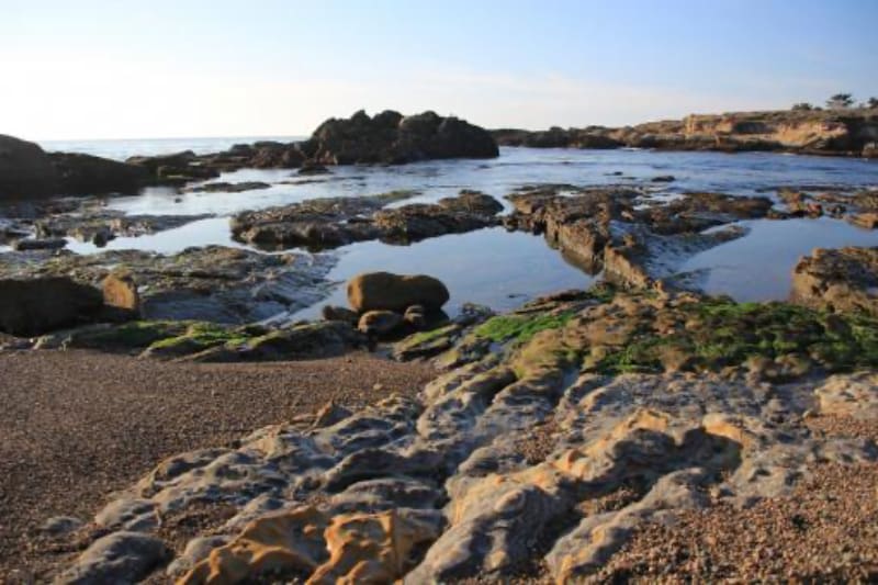 Point Lobos South Shore Trail