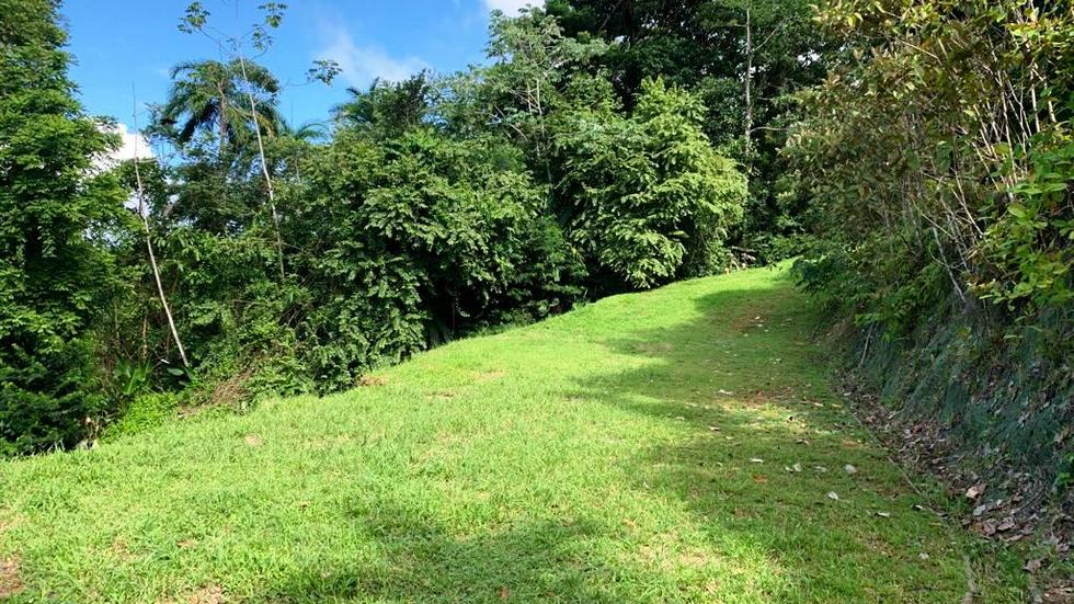 Ocean View Property with a Prime Location and Legal Water in Escaleras Dominical