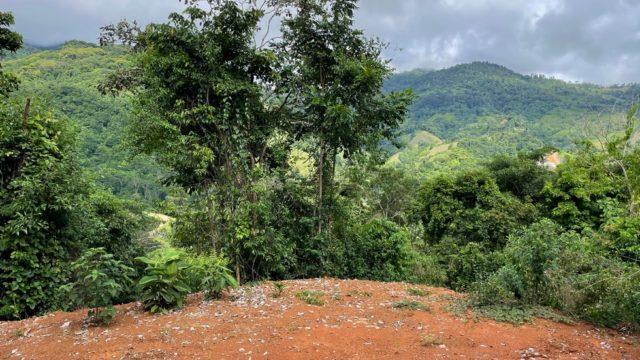 Riverfront Ranch Above Uvita With Waterfalls, and Ocean Views