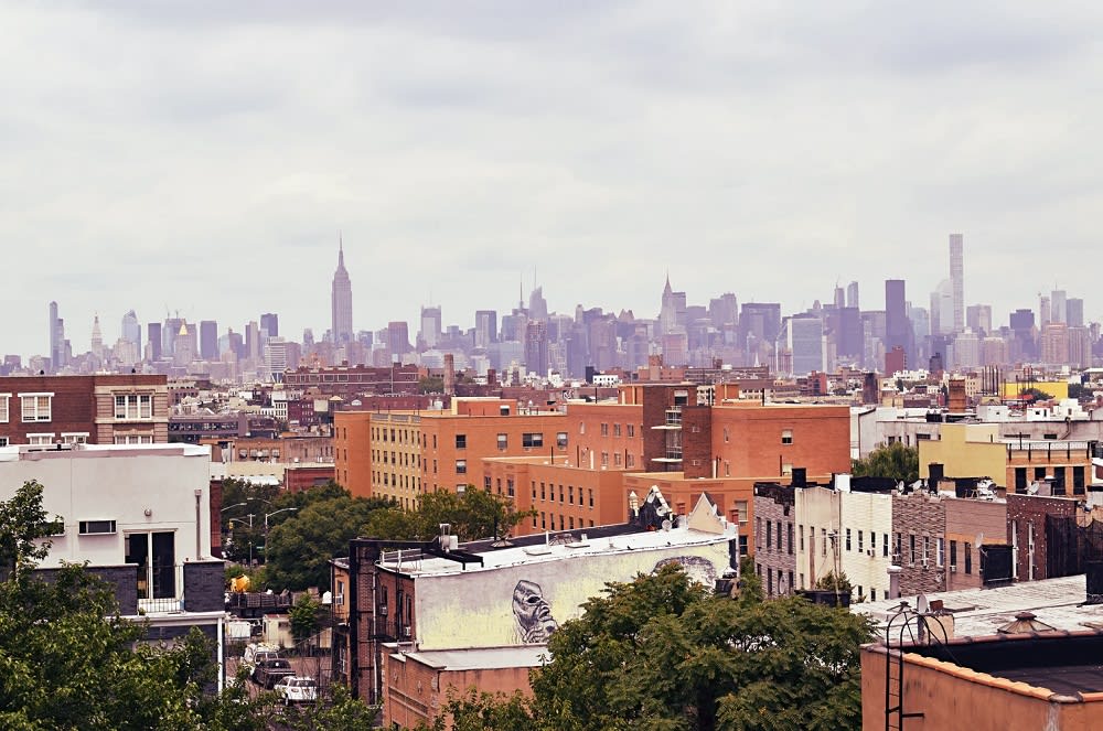 Brooklyn rooftops with the Manhattan skyline and Empire State Building in the distance.
