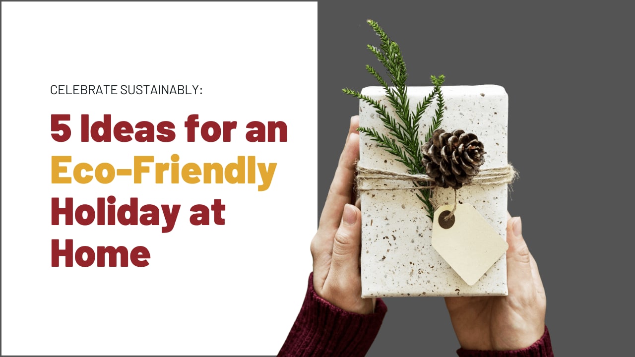 Celebrate Sustainably: 5 Ideas for an Eco-Friendly Holiday at Home