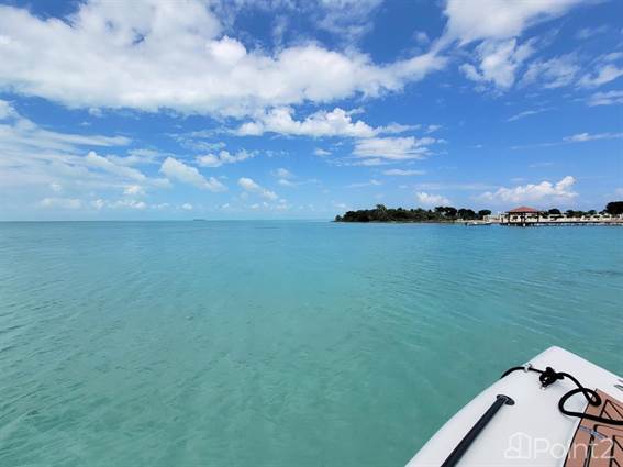 The Tikal Waterfront Studio – a Smart, Eco-friendly Tiny Luxury Villa With Over-the-water Balcony