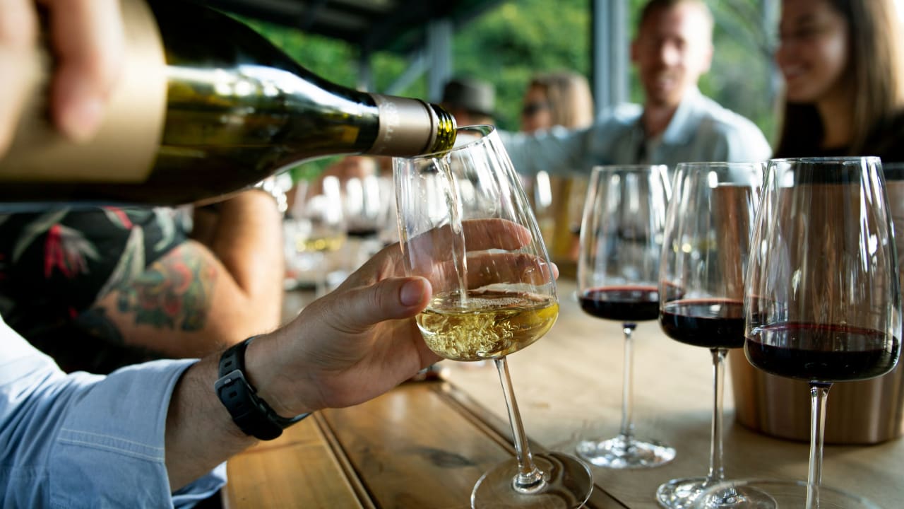Los Gatos Summer Events & Activities (2024)
