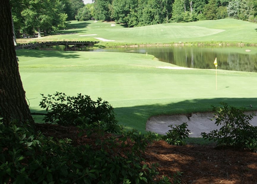 golf, lake norman golf, the sarver group , luxury, luxury lifestyle Cornelius Real Estate