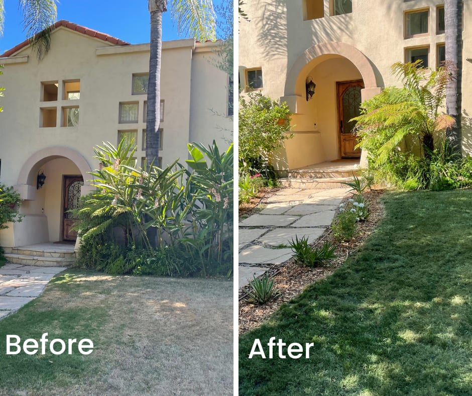 Improve Your Curb Appeal with Organic Lawn Painting