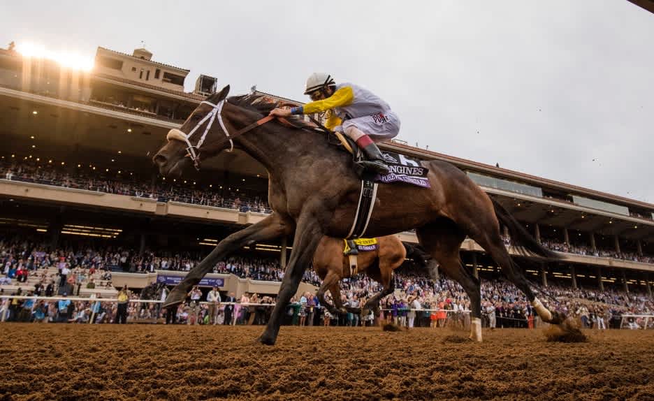 Jockey Rides