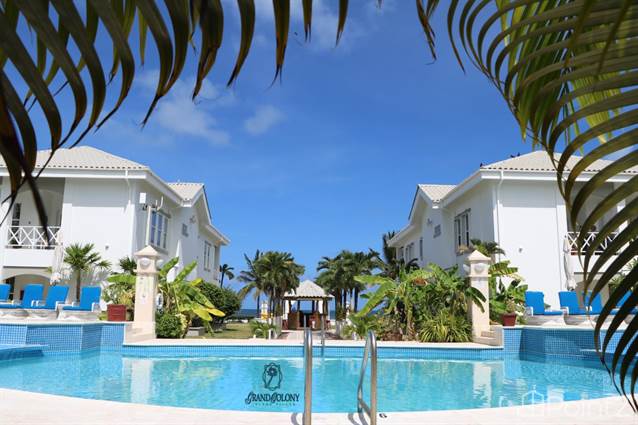 The Tropical Dreams - 3 Bed 2 Bath Luxury Pool-view Residence at the Grand Colony Island Villas