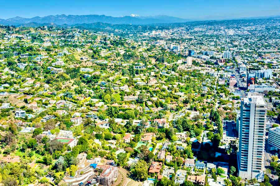 Bird Streets Neighborhood Guide