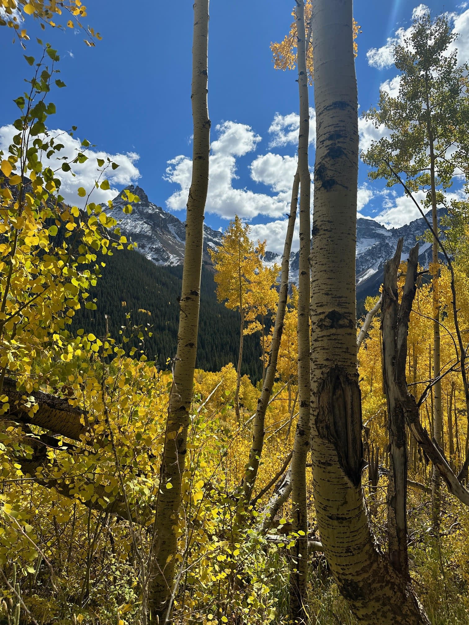 High County Fall Views Near Durango, CO