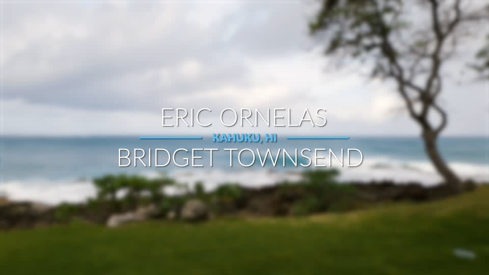 Surf, Spa, Sold! Exploring Turtle Bay's Real Estate Oasis