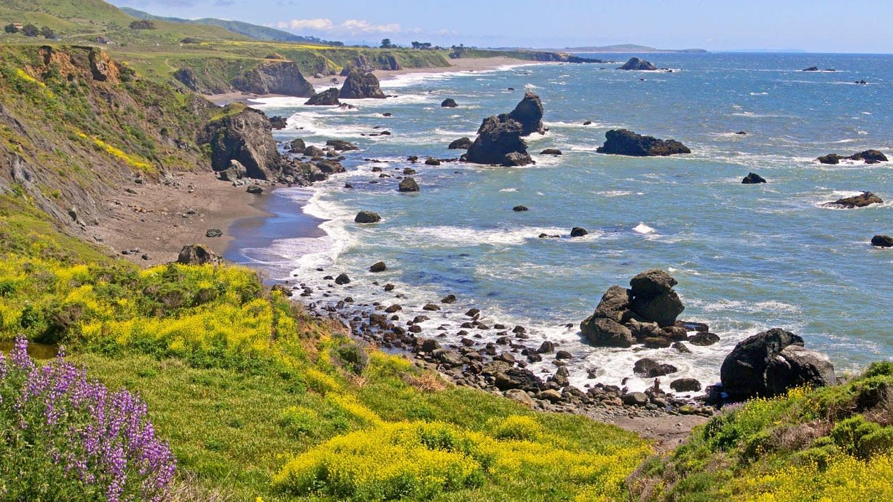 Sonoma County Welcomes Visitors